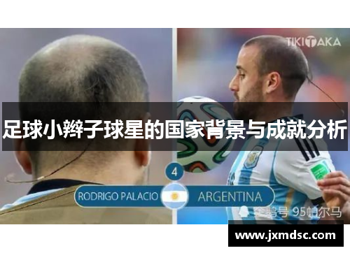 足球小辫子球星的国家背景与成就分析