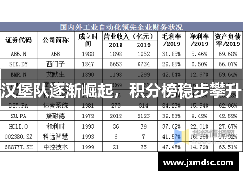汉堡队逐渐崛起，积分榜稳步攀升